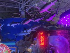 -烟台海昌鲸鲨海洋公园