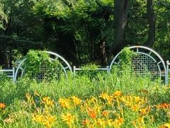 -国家植物园南园