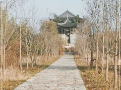 -广富林郊野公园