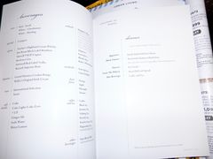 memu-新加坡航空公司(ION)