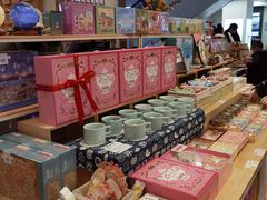 -猫的天空之城概念书店(印象城购物中心店)