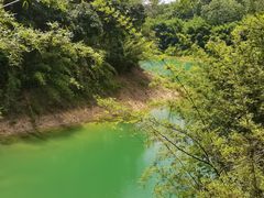 -广州市流溪河国家森林公园