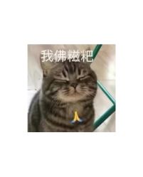-裕月馨月子中心(滨江店)