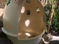 -100蛋泥浆浴