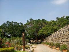 -胡里山炮台