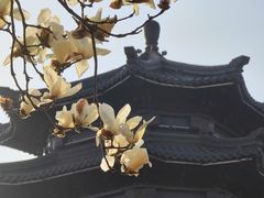 -圆通寺