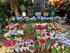 -青石桥花鸟鱼虫市场(叠翠城店)