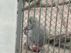 -合肥野生动物园
