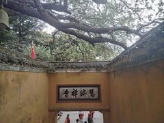 -普陀山慧济禅寺