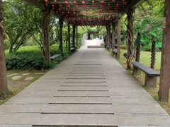 -白马涧龙池景区