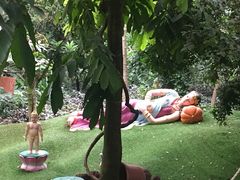 -呀路古热带植物园