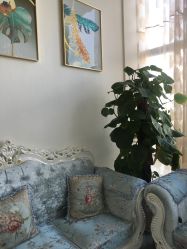 -久匠·纹眉半永久野生眉