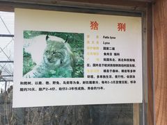 -石家庄市动物园