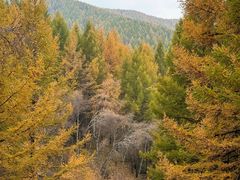 -苏木山森林公园