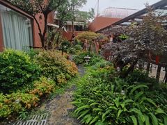 -陈家山荷花公园
