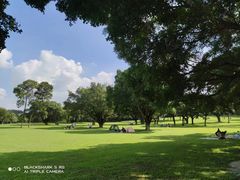 -东莞植物园