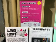 -猫咪博物馆(顶澳仔猫街店)
