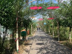 -上海长兴岛郊野公园