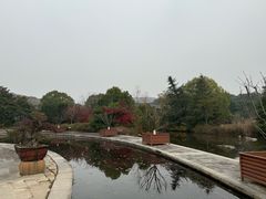 -白马涧龙池景区