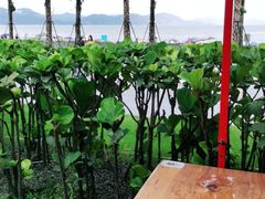 -木屋烧烤(惠阳华润小径湾店)