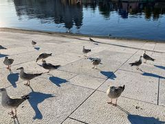 -奥斯陆歌剧院