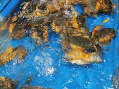 -韩家墅海吉星农产品批发市场