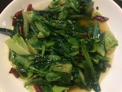 -茅屋大酒店