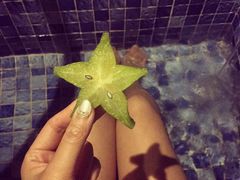 亚龙湾人间天堂-鸟巢度假村-三亚亚龙湾人间天堂鸟巢度假村