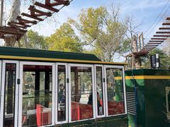 -张正麻辣串(宿州路店)