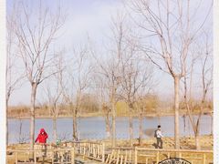 -东郊湿地公园