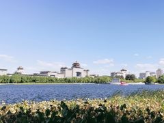 -莲花池公园