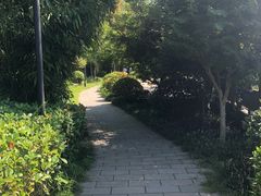 -竹子庵公园