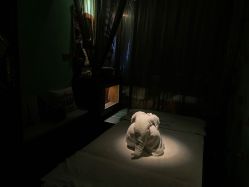 -琦品高端美容SPA会所