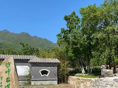 -阳台山自然风景区