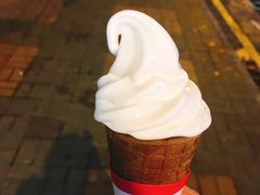 -富豪雪糕车流动点(尖沙咀店)