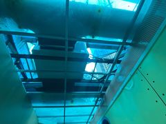 -海帆亲子游泳(茂业中心)