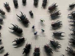 -天津自然博物馆