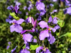 -停车场(临桂路)