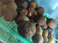 -山菌美食苑(振兴路店)