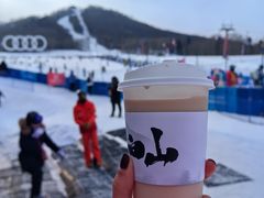 -长白山万达喜来登度假酒店