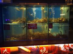 -钳真多钓虾馆·小龙虾海鲜烧烤(九六广场店)