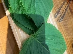 -金龙烧烤·牛肉面(西塔店)