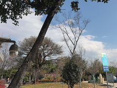 -洱海月湿地公园