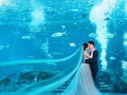 -女王风尚STUDIO·轻奢化定制