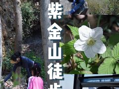 -紫金山山顶公园