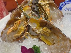 -东海怡品海鲜豆捞(舟宿夜江店)
