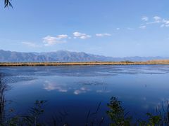 -野鸭湖国家湿地公园