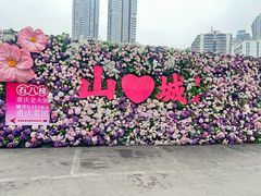 -重庆十八梯传统风貌区