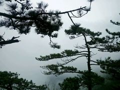 -罗田薄刀峰风景区