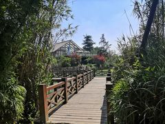 -桤木河湿地公园